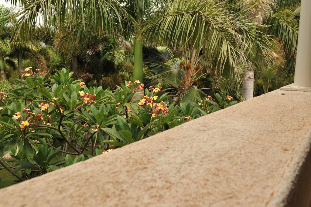 Aloha Aku Inn & Suites Kihei Ruang foto